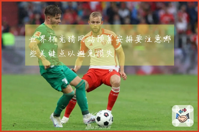 世界杯竞猜网站预算安排要注意哪些关键点以避免损失