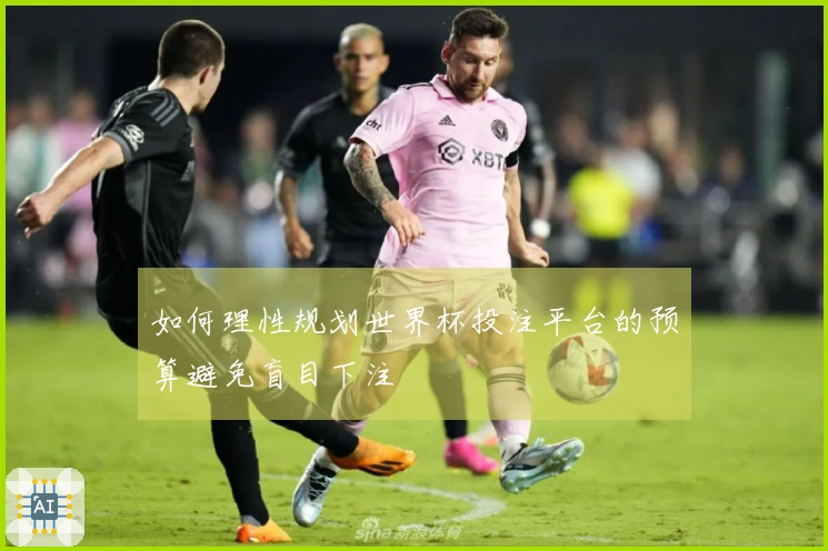 如何理性规划世界杯投注平台的预算避免盲目下注