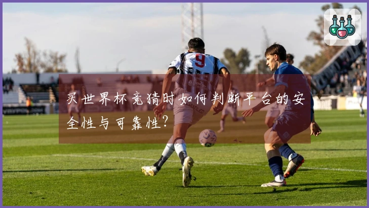 买世界杯竞猜时如何判断平台的安全性与可靠性？
