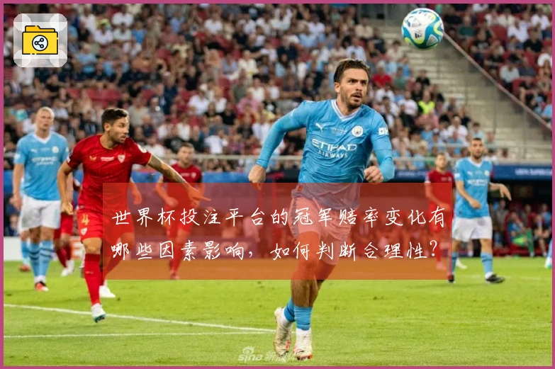 世界杯投注平台的冠军赔率变化有哪些因素影响，如何判断合理性？