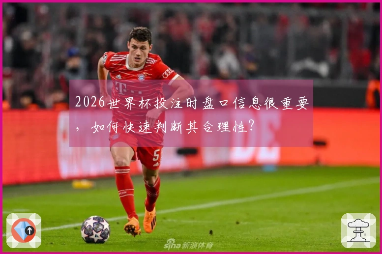 2026世界杯投注时盘口信息很重要，如何快速判断其合理性？