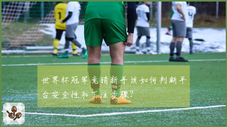 世界杯冠军竞猜新手该如何判断平台安全性和下注步骤？