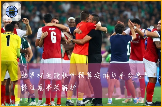 世界杯竞猜软件预算安排与平台选择注意事项解析