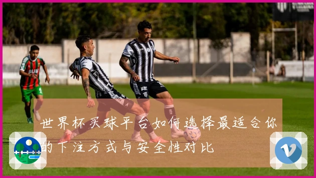 世界杯买球平台如何选择最适合你的下注方式与安全性对比