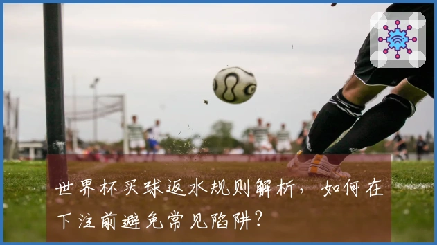 世界杯买球返水规则解析，如何在下注前避免常见陷阱？