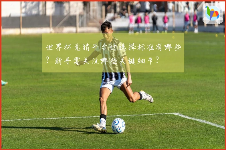 世界杯竞猜平台的选择标准有哪些？新手需关注哪些关键细节？
