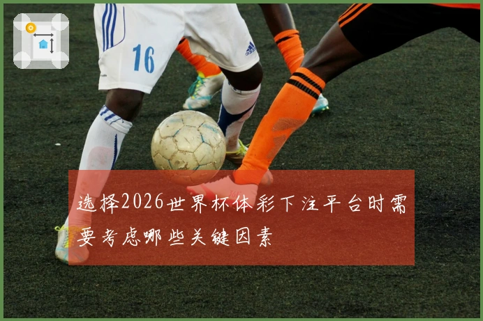 选择2026世界杯体彩下注平台时需要考虑哪些关键因素