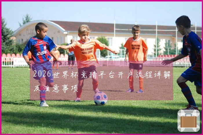 2026世界杯竞猜平台开户流程详解及注意事项