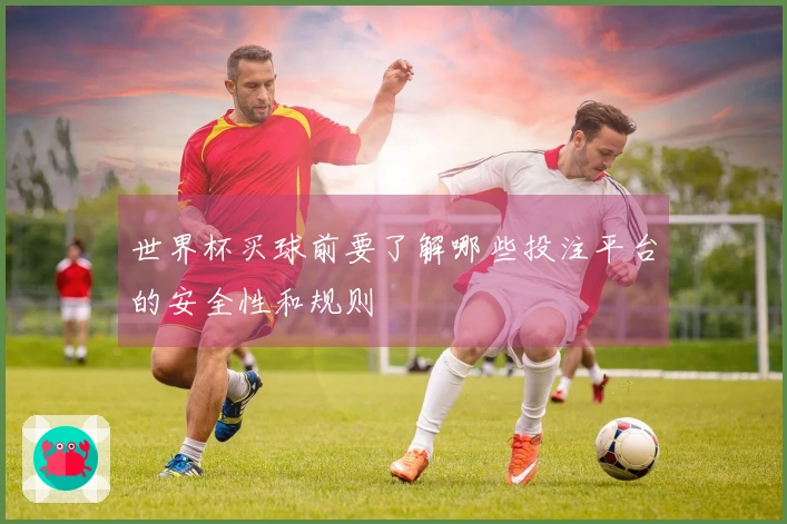 世界杯买球前要了解哪些投注平台的安全性和规则