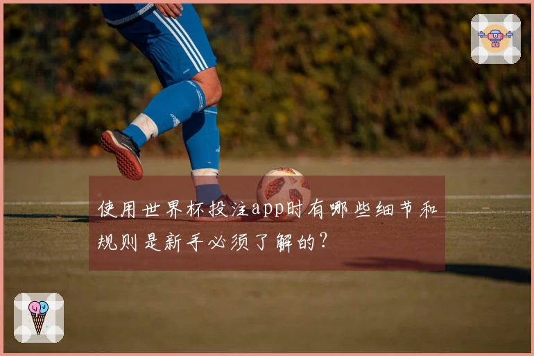 使用世界杯投注app时有哪些细节和规则是新手必须了解的？