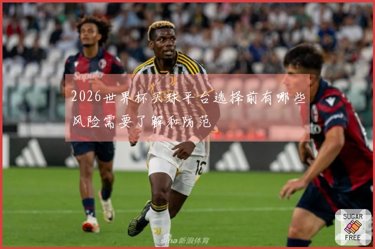 2026世界杯买球平台选择前有哪些风险需要了解和防范