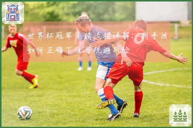 世界杯冠军竞猜流程详解：新手该如何正确下注与规避风险
