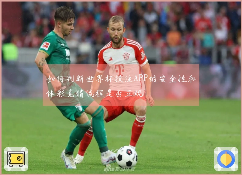 如何判断世界杯投注APP的安全性和体彩竞猜流程是否正规