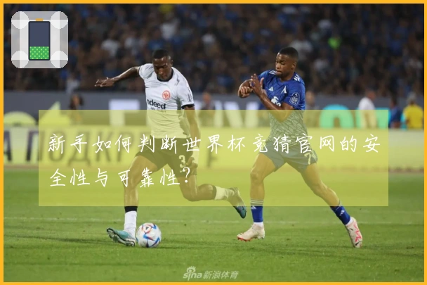 新手如何判断世界杯竞猜官网的安全性与可靠性？