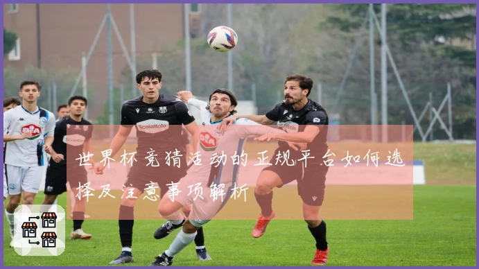 世界杯竞猜活动的正规平台如何选择及注意事项解析