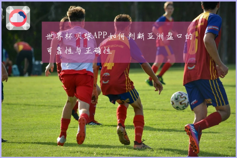 世界杯买球APP如何判断亚洲盘口的可靠性与正确性