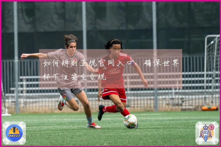 如何辨别正规官网入口，确保世界杯下注安全合规