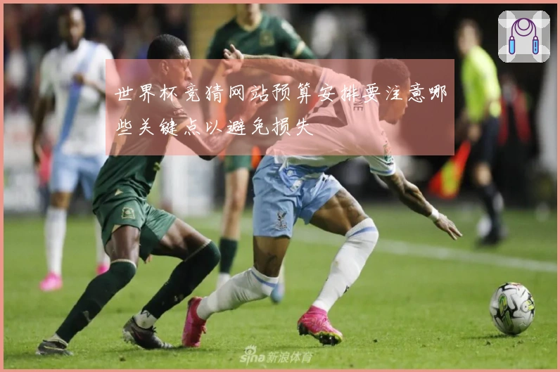 世界杯竞猜网站预算安排要注意哪些关键点以避免损失