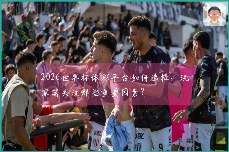 2026世界杯体彩平台如何选择，玩家需关注哪些重要因素？
