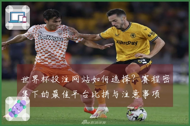世界杯投注网站如何选择？赛程密集下的最佳平台比拼与注意事项