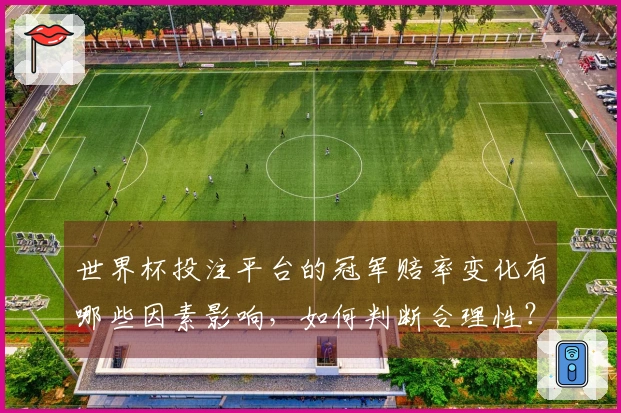 世界杯投注平台的冠军赔率变化有哪些因素影响，如何判断合理性？