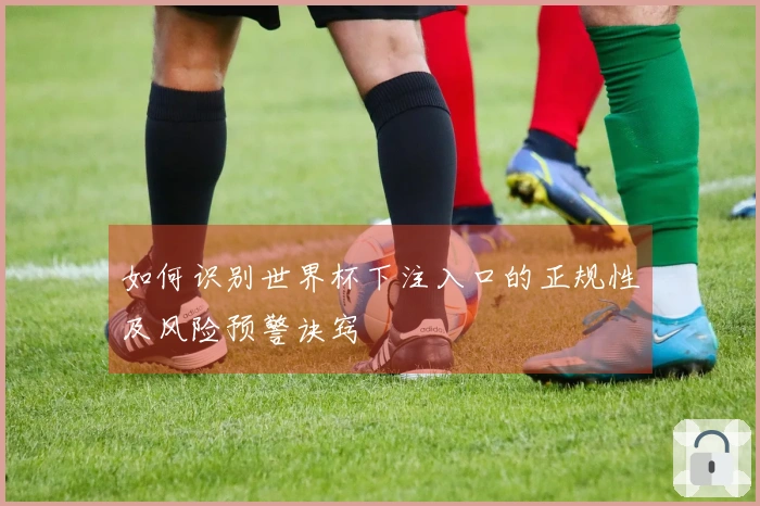 如何识别世界杯下注入口的正规性及风险预警诀窍