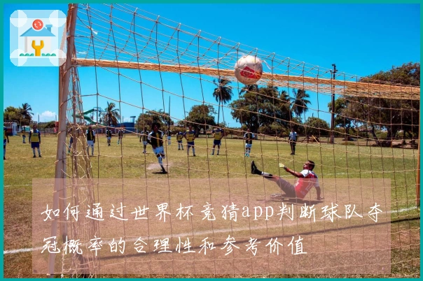如何通过世界杯竞猜app判断球队夺冠概率的合理性和参考价值