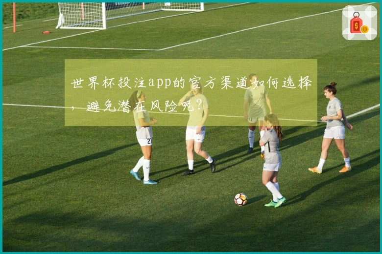 世界杯投注app的官方渠道如何选择，避免潜在风险呢？