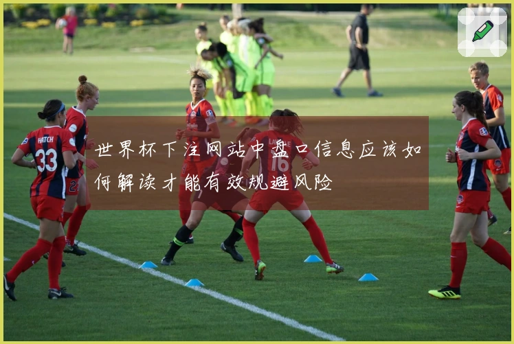 世界杯下注网站中盘口信息应该如何解读才能有效规避风险