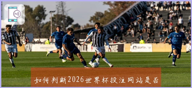 如何判断2026世界杯投注网站是否安全可靠？解析正规平台的识别要点