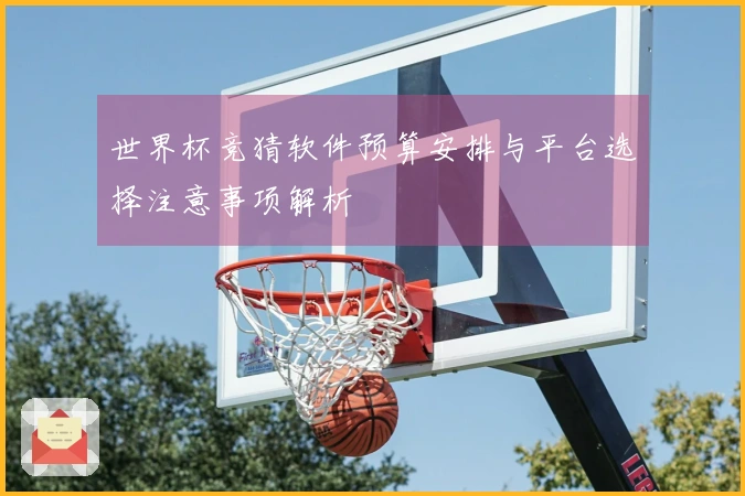 世界杯竞猜软件预算安排与平台选择注意事项解析