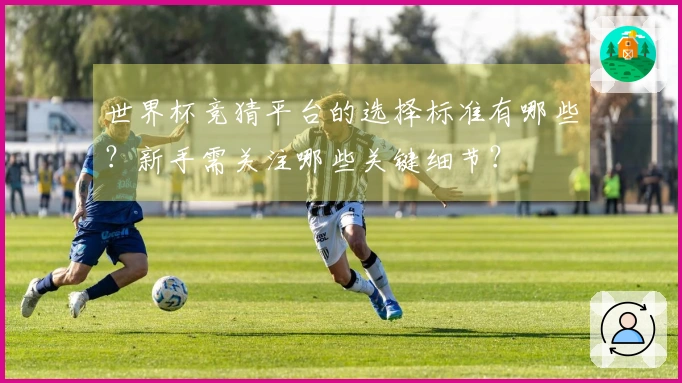 世界杯竞猜平台的选择标准有哪些？新手需关注哪些关键细节？