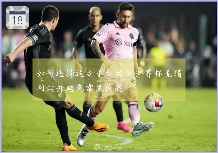 如何选择适合小白的买世界杯竞猜网站并避免常见问题