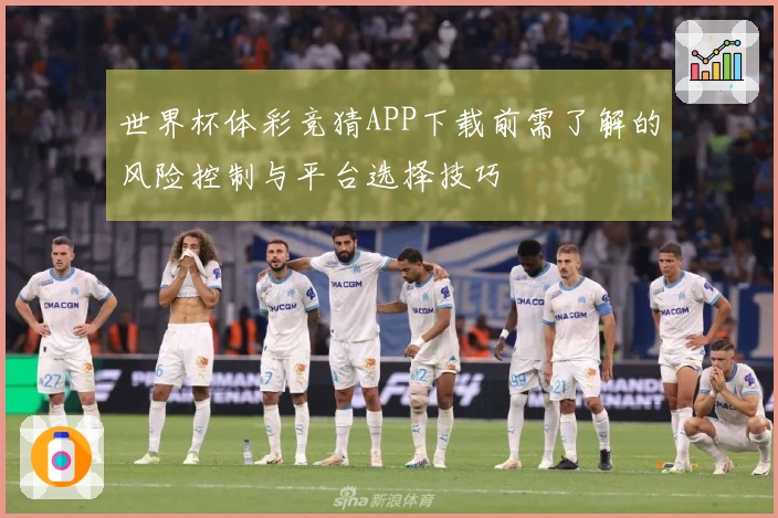 世界杯体彩竞猜APP下载前需了解的风险控制与平台选择技巧