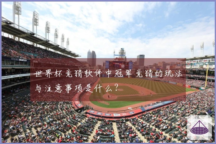 世界杯竞猜软件中冠军竞猜的玩法与注意事项是什么？