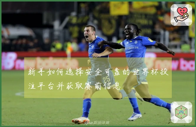 新手如何选择安全可靠的世界杯投注平台并获取赛前信息
