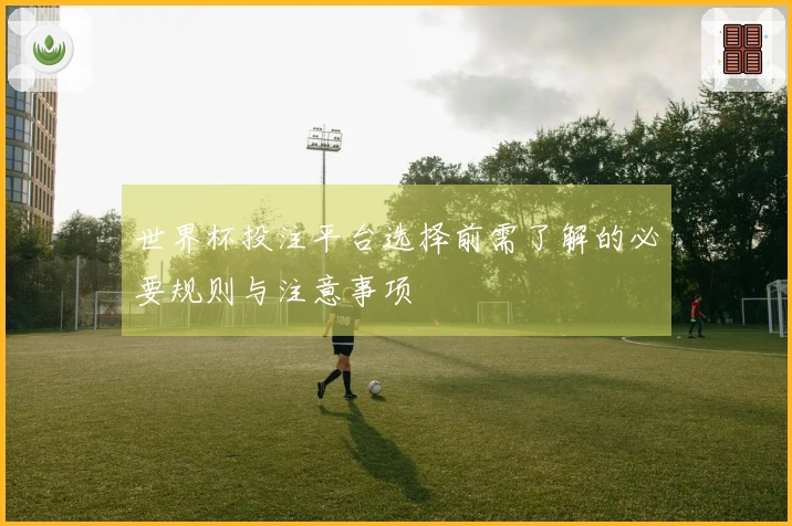 世界杯投注平台选择前需了解的必要规则与注意事项