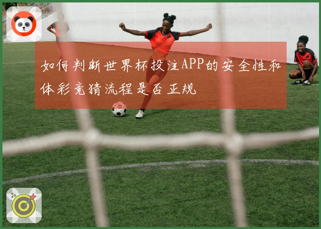 如何判断世界杯投注APP的安全性和体彩竞猜流程是否正规