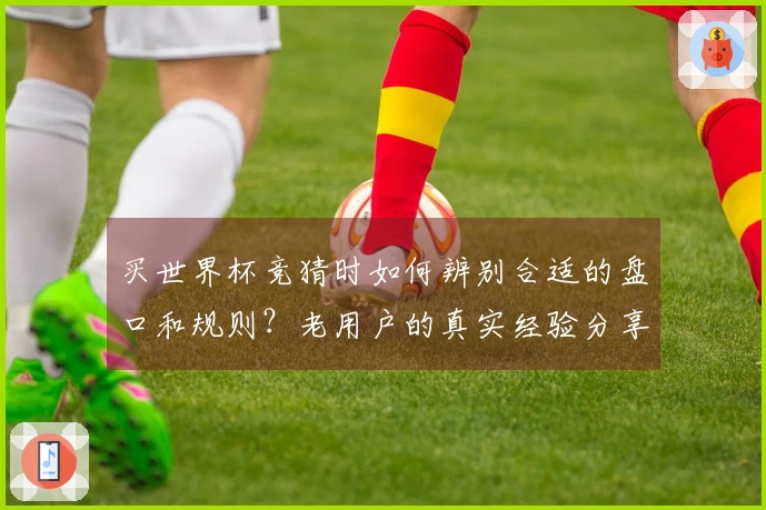 买世界杯竞猜时如何辨别合适的盘口和规则？老用户的真实经验分享