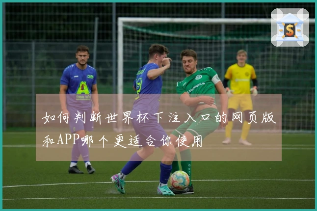 如何判断世界杯下注入口的网页版和APP哪个更适合你使用