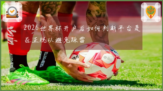 2026世界杯开户后如何判断平台是否正规以避免踩雷