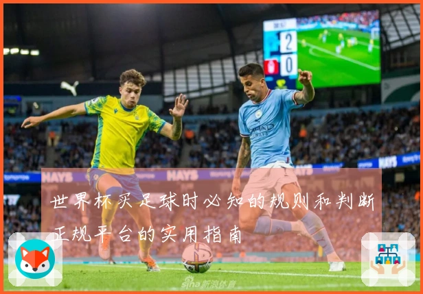 世界杯买足球时必知的规则和判断正规平台的实用指南