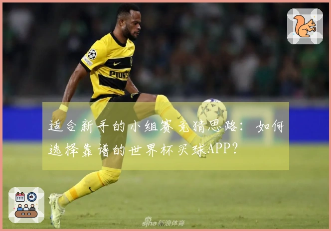 适合新手的小组赛竞猜思路：如何选择靠谱的世界杯买球APP？