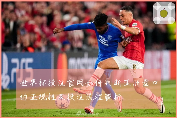 世界杯投注官网如何判断亚洲盘口的正规性及投注流程解析