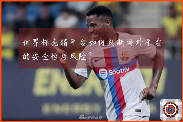 世界杯竞猜平台如何判断海外平台的安全性与风险？