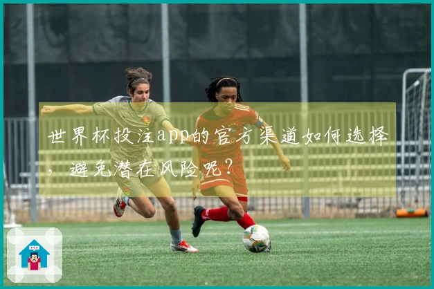 世界杯投注app的官方渠道如何选择，避免潜在风险呢？