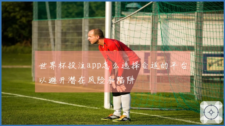 世界杯投注app怎么选择合适的平台以避开潜在风险和陷阱