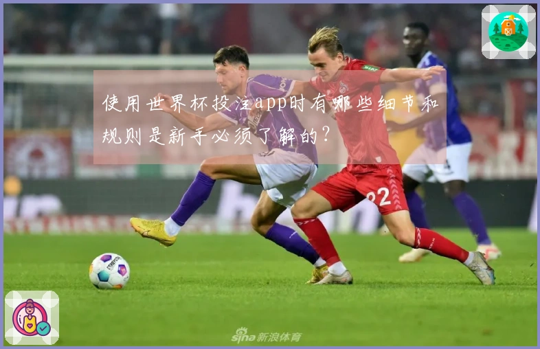 使用世界杯投注app时有哪些细节和规则是新手必须了解的？