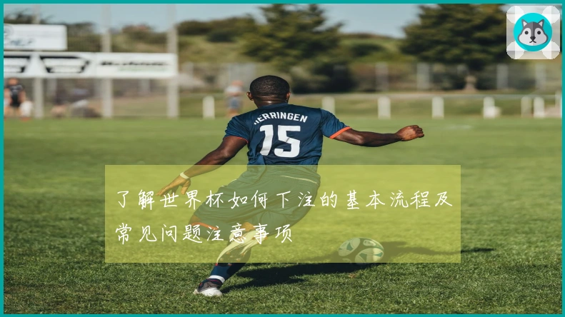 了解世界杯如何下注的基本流程及常见问题注意事项