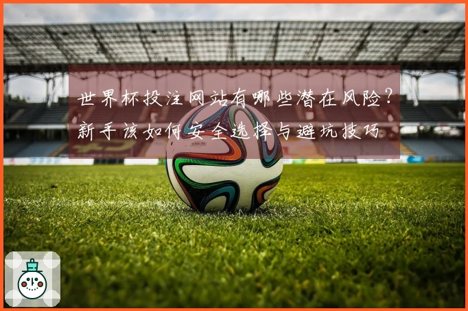 世界杯投注网站有哪些潜在风险？新手该如何安全选择与避坑技巧